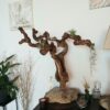Déco cep de vigne sur pierre naturelle avec Tillandsia