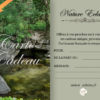 Carte Cadeau
