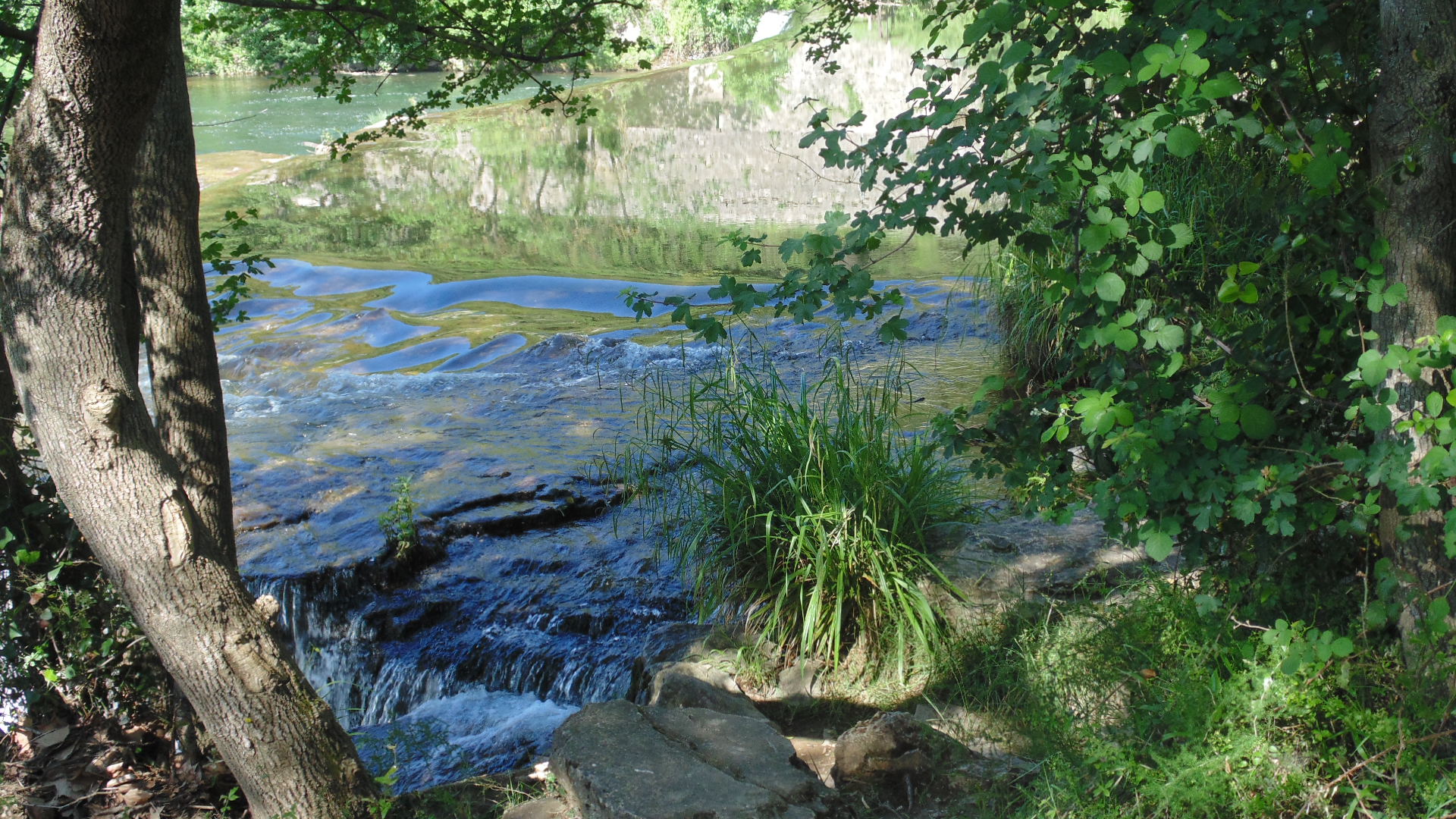 DSC01398