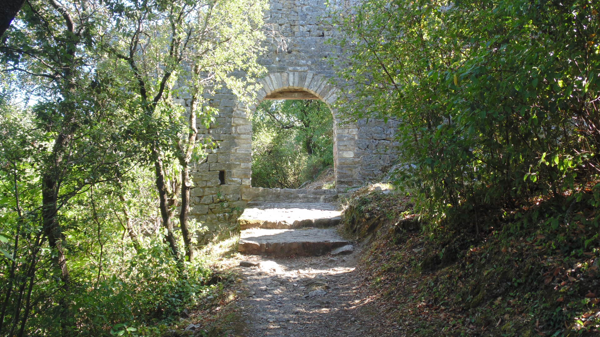DSC01464 - Copie