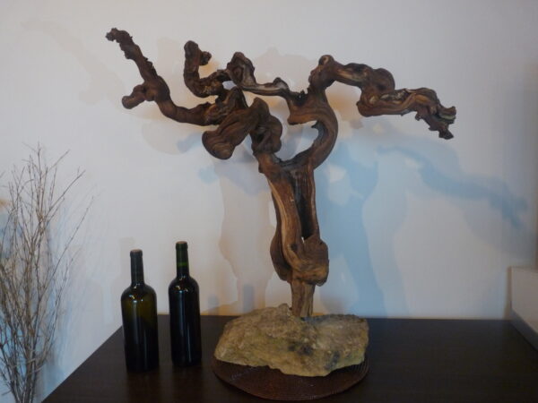 présentoir en cep de vigne