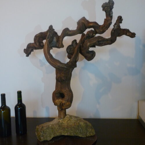 présentoir en cep de vigne