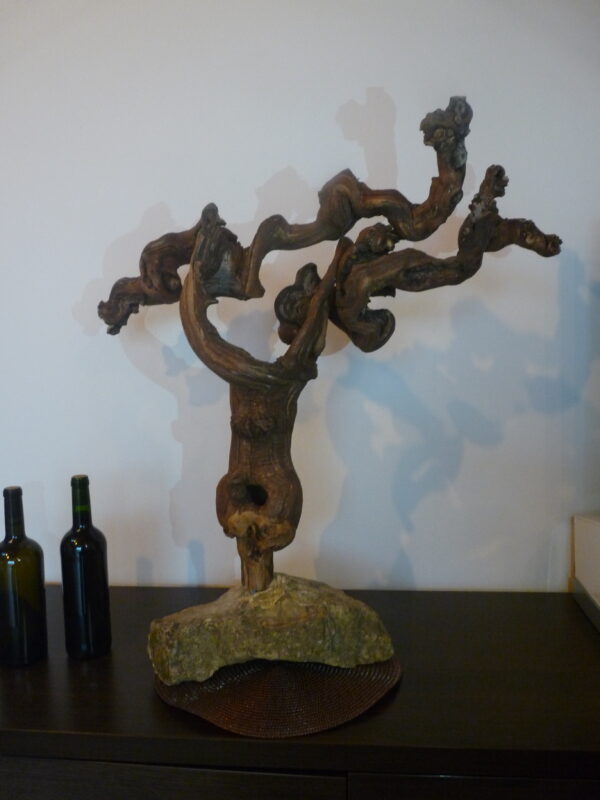 présentoir en cep de vigne