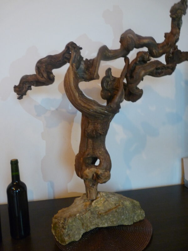 présentoir en cep de vigne
