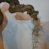 Déco cep de vigne sur pierre naturelle avec Tillandsia