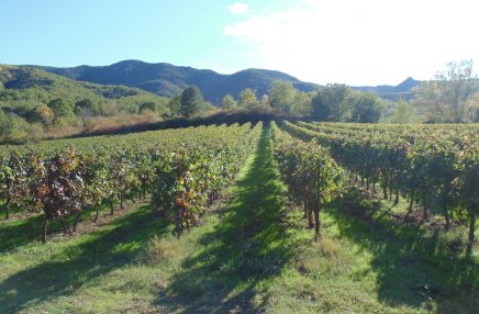 DSC01552 - Copie