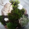 Terrarium